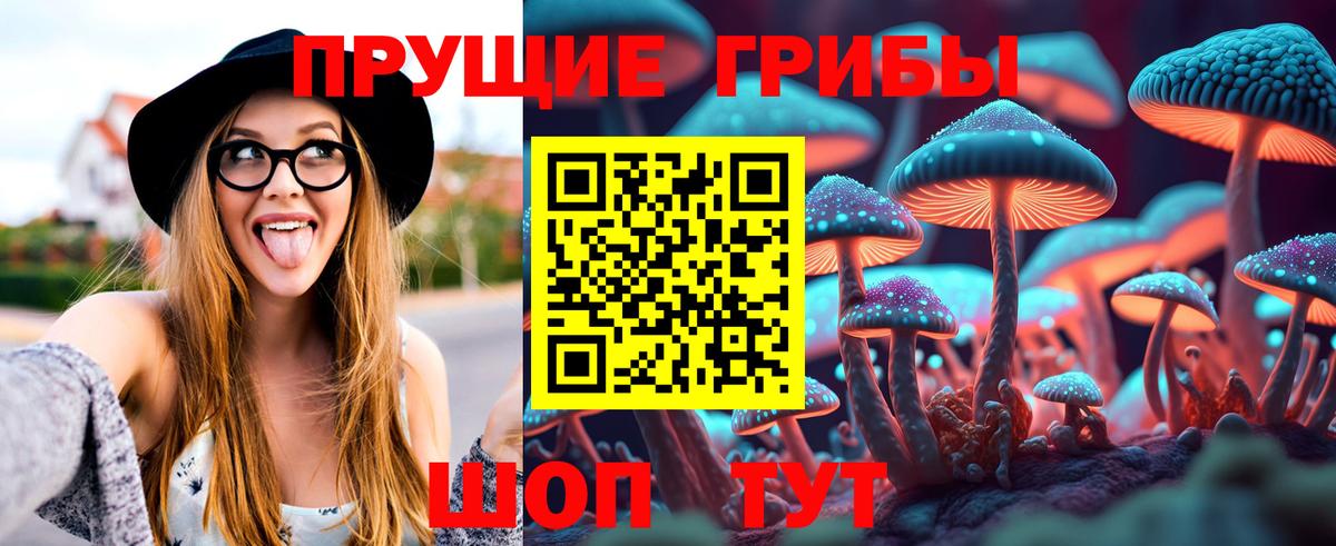 Галлюциногенные грибы Magic Shrooms Ессентуки